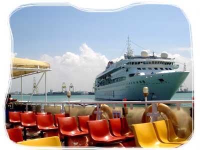 Cruise Nov 08
