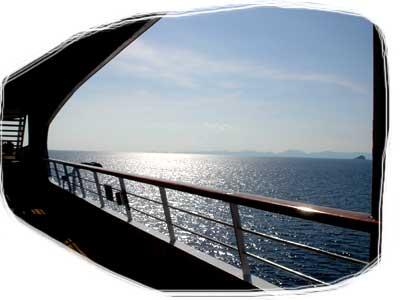 Cruise Nov 08