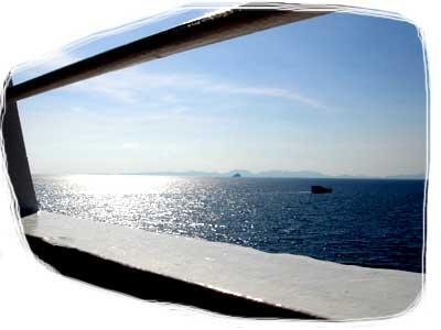 Cruise Nov 08