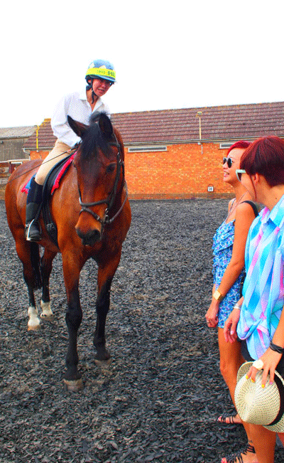 horse surrey