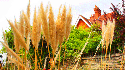 lonesome lodge surrey