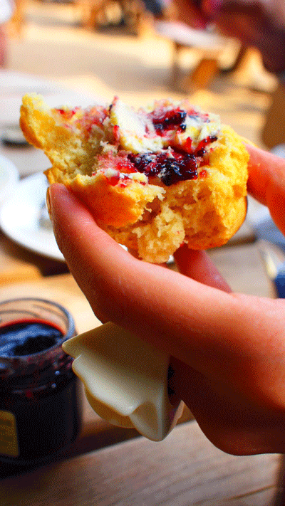 scones jam cream knowle
