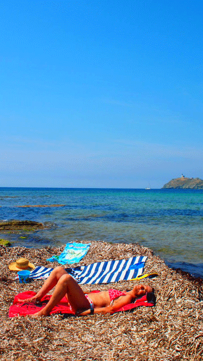 Corsica