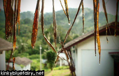 kuala kubu baru bamboo palace