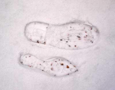 snow france 2010