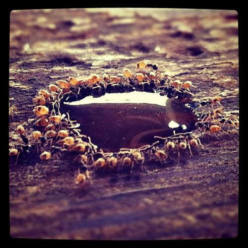 1-instagram-pulau-weh-24