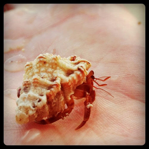 1-instagram-pulau-weh-28