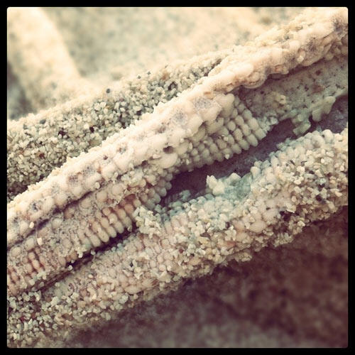 1-instagram-pulau-weh-29