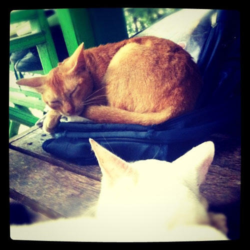 1-instagram-pulau-weh-32