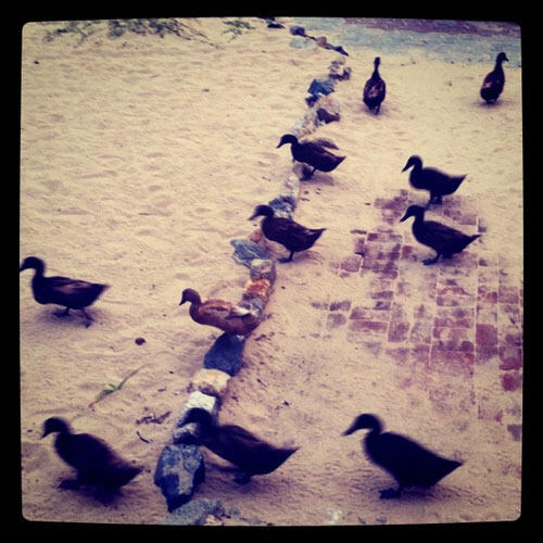 1-instagram-pulau-weh-42