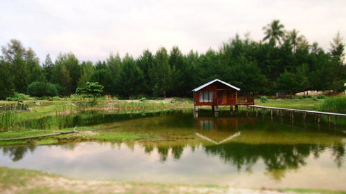 c-acheh-joels-bungalows-13