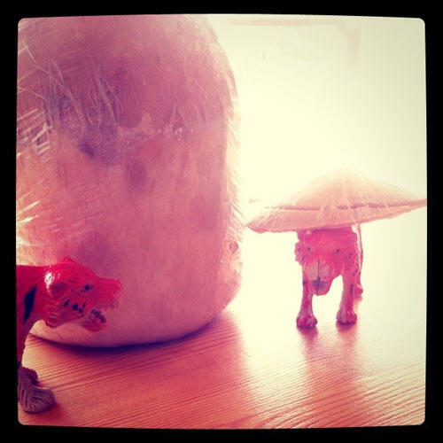 awanmulan-lovelies-6