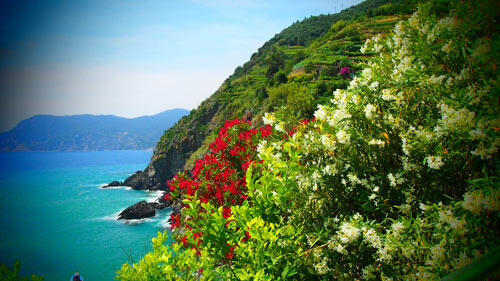 b-vernazza-to-monterroso-3