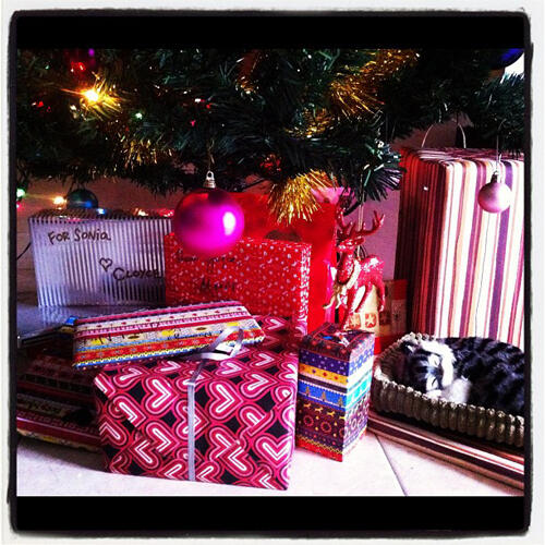 0-xmas-eve-cloyce-24