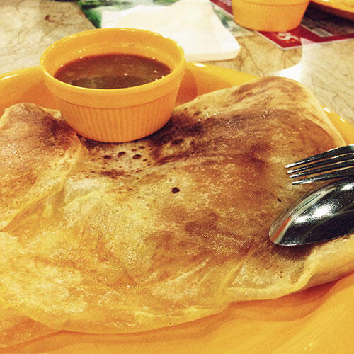 dd-roti-planta-2
