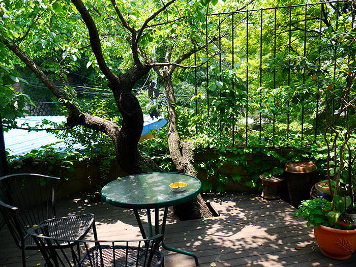 airbnb-seoul-jongno-11-house-rooftop-garden