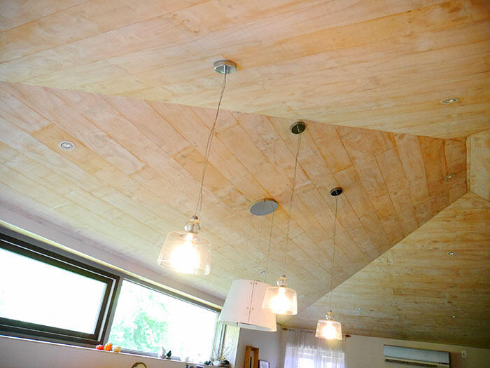 airbnb-seoul-jongno-18-house-rooftop-garden