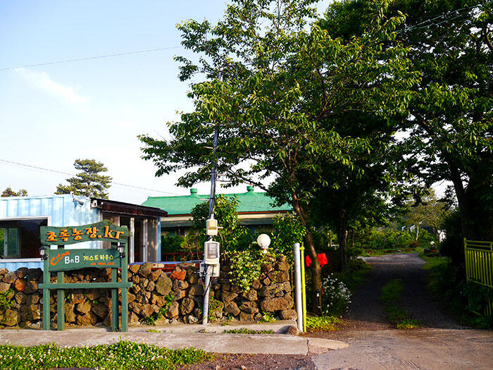 jeju-citrus-b&b-airbnb-1
