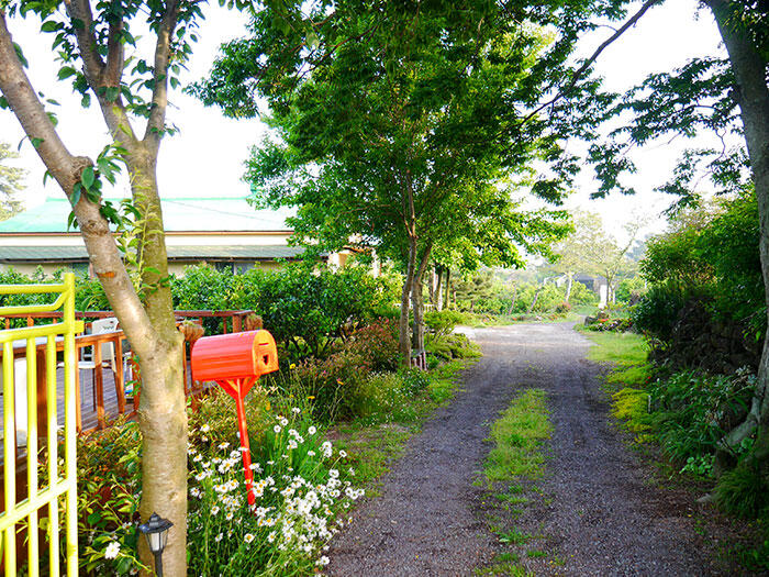 jeju-citrus-b&b-airbnb-2
