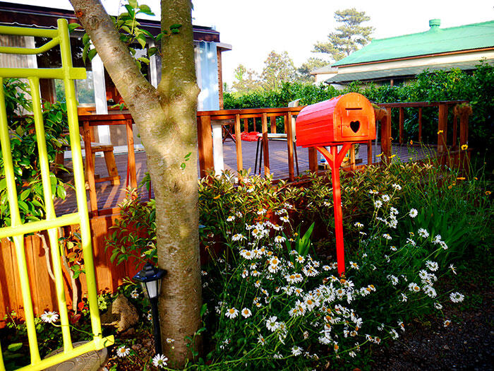 jeju-citrus-b&b-airbnb-3
