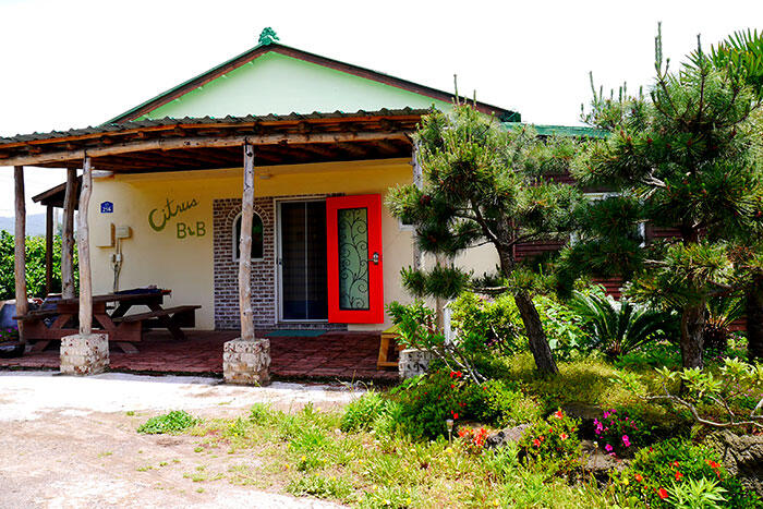 jeju-citrus-b&b-airbnb-4