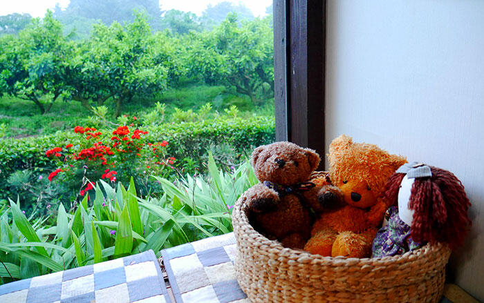 jeju-citrus-b&b-airbnb-6