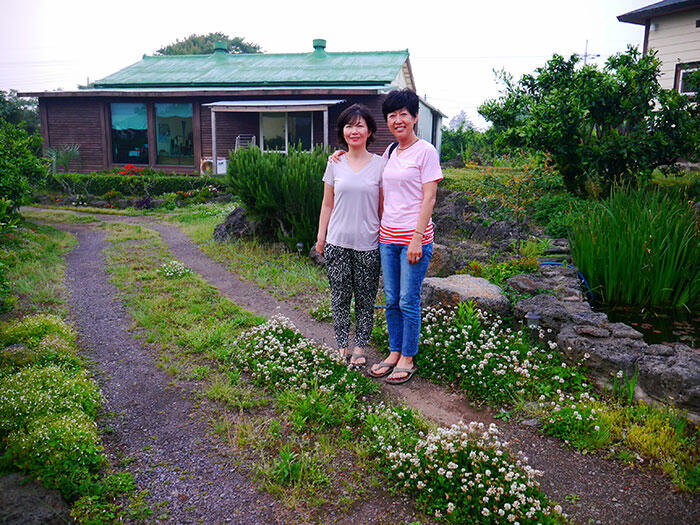 jeju-citrus-b&b-airbnb-9