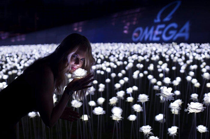 z-omega-butterfly-event-seoul-nicole-kidman-4