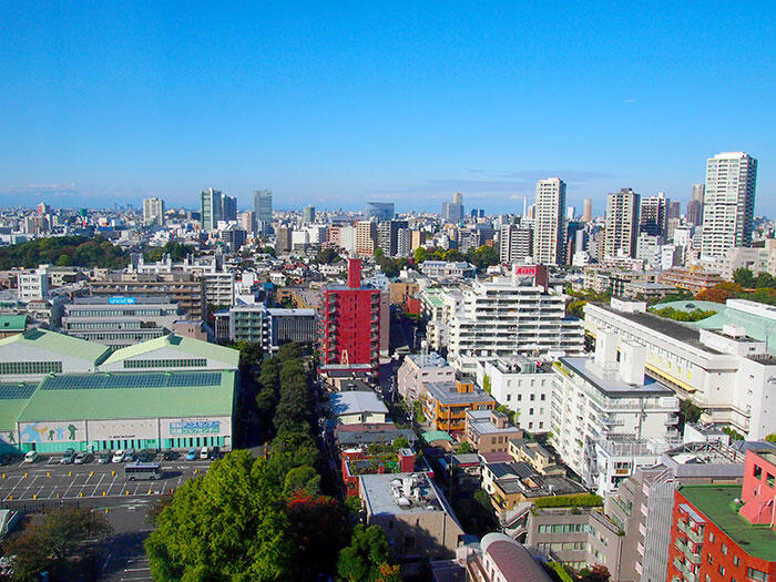 Pocky-Glico-Japan-Tokyo-2